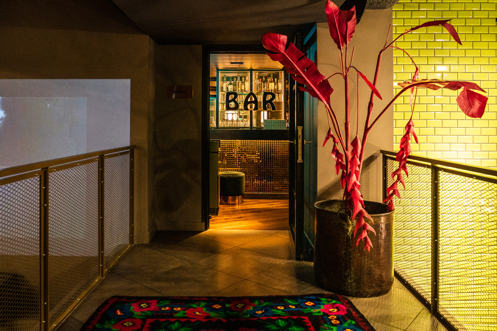 The entrance to the Sape Bar with a large red plant next to the door. Through the door is the counter of the Bar